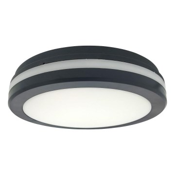 LED Stropní svítidlo se senzorem pohybu LED/20W/230V 3000/4000/6500K pr. 230 cm IP54 antracit